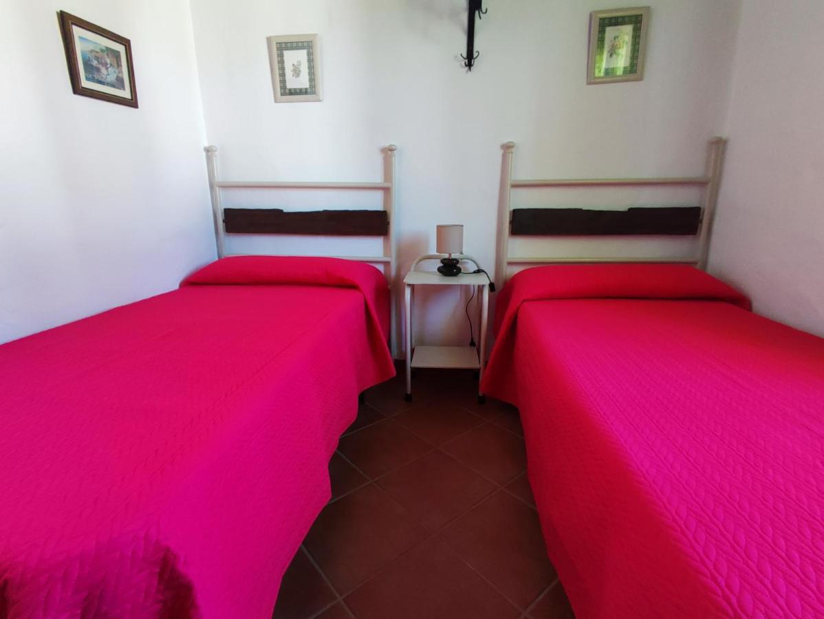 El Cortijo De Pepa Villa Conil De La Frontera Eksteriør billede